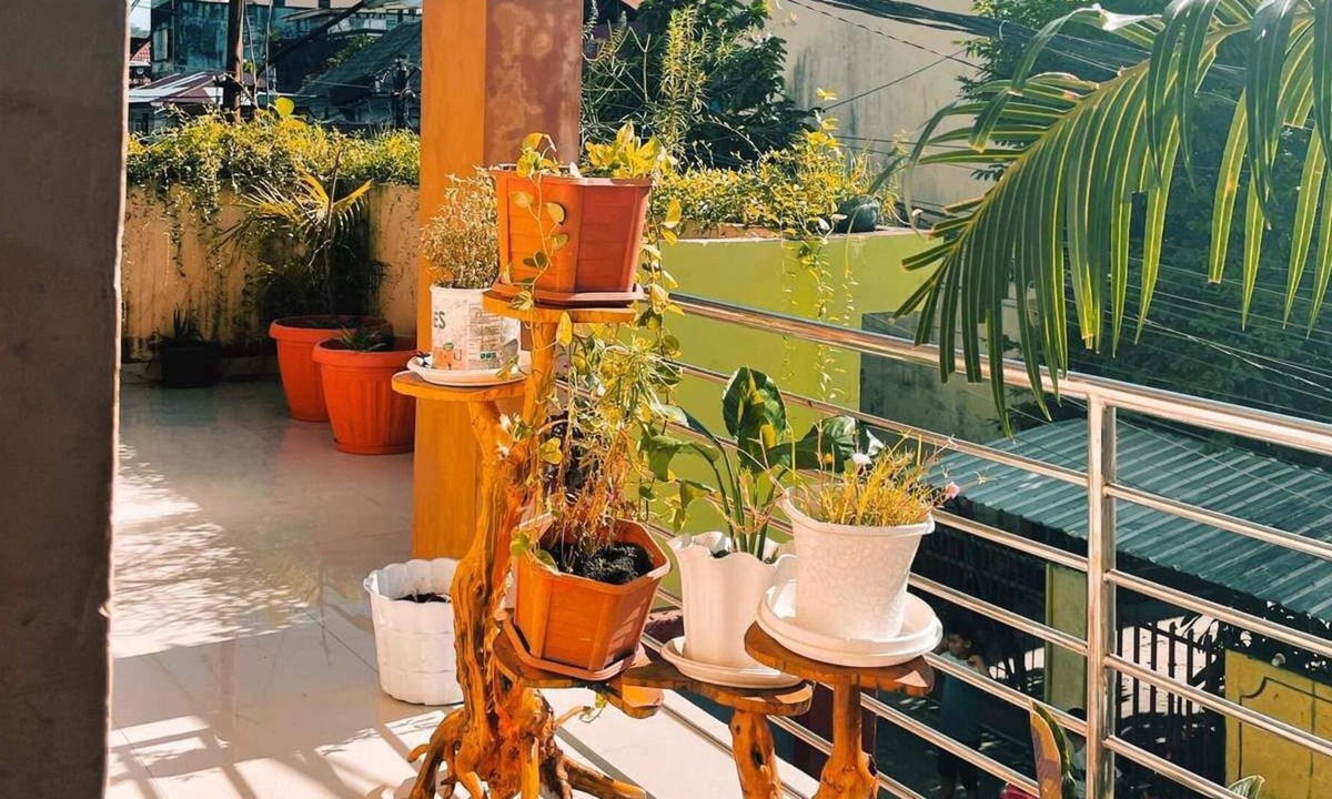 Ambon House | Almira Homestay Ambon Redpartner