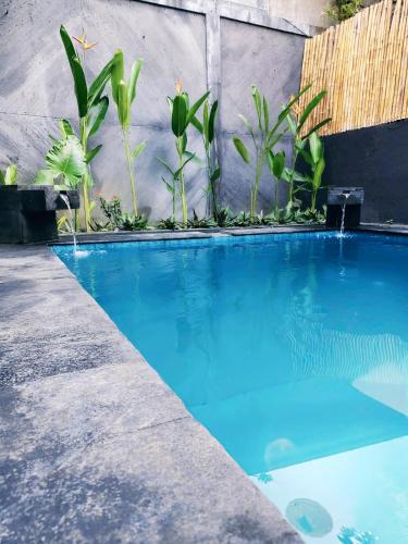 Kartika Plaza Hostel | AVEBODI SURF and STAY Share Villa