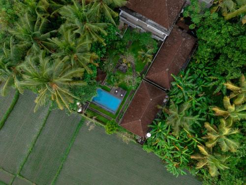 Singakerta Cabin | Ayu Shanti Guest House Ubud