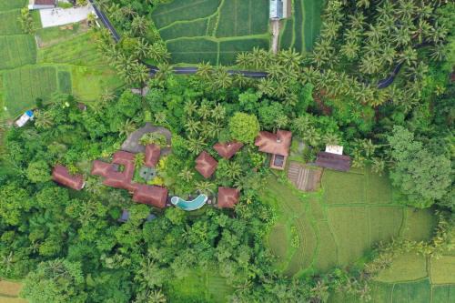 Kenderan Resort | BeingSattvaa Luxury Ubud