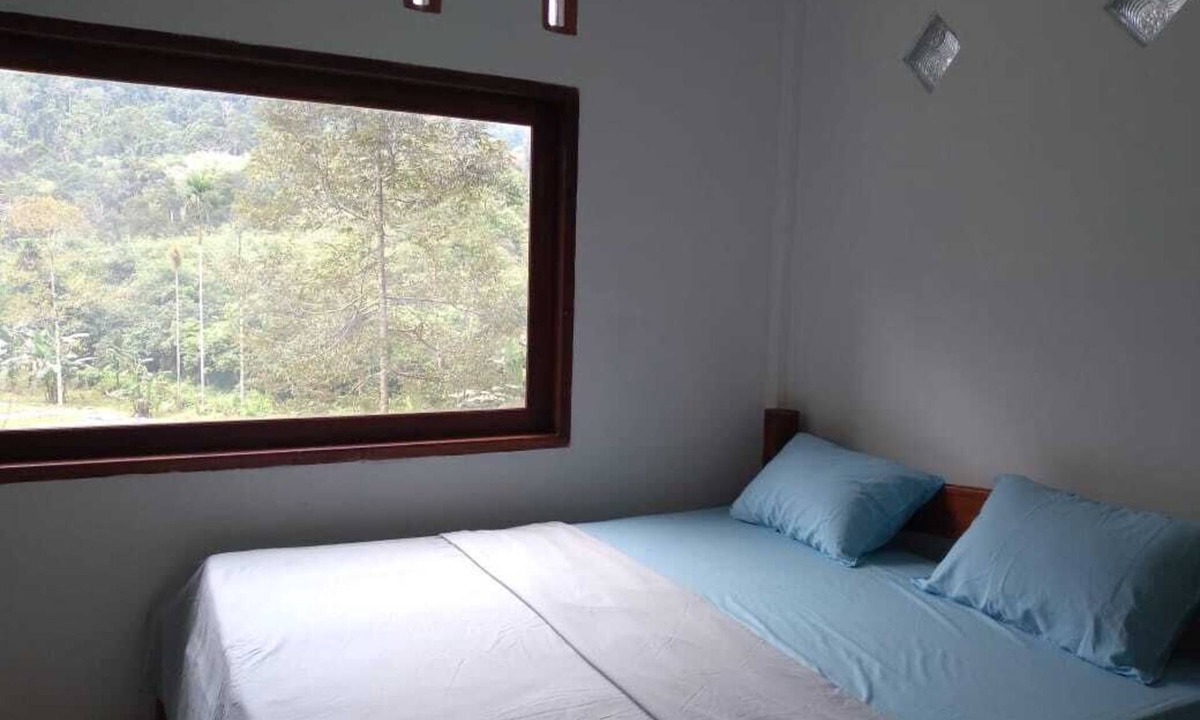 Bohorok Bed & Breakfast | Bukit Lawang Wonderful bed & breakfast Rimba House in Batu Kapal North Sumatra