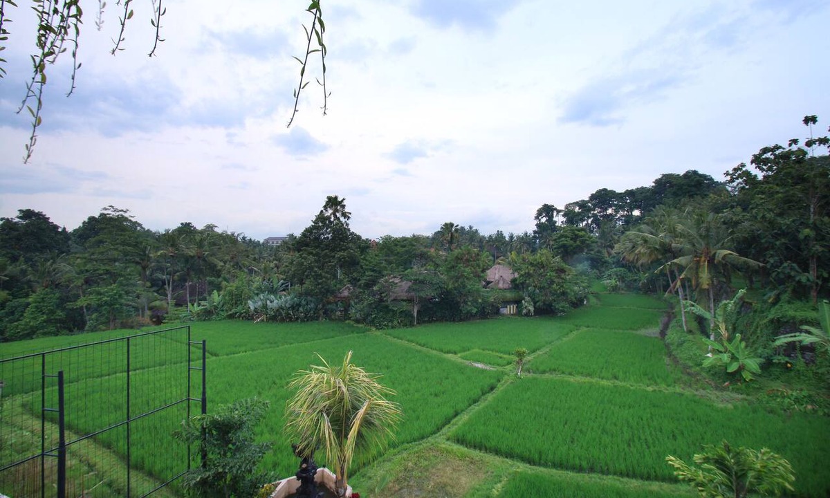 Pengosekan House | Byasa Ubud