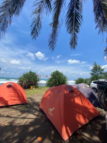 Cimerak Other | Glamour Camping Pantai Madasari