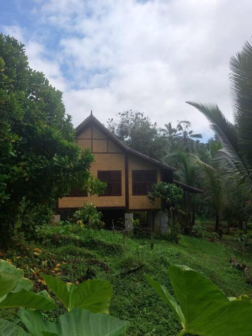 East Selemadeg Ski Chalet | Jungle Haven - Private Riverside