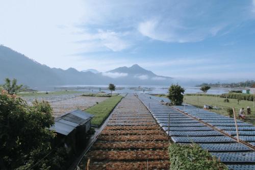 Songan House | Lake Batur Cabin