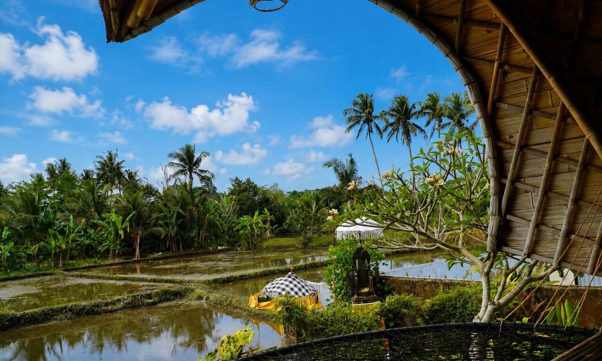Mas Villa | Luxury Private Pool Bamboo Villa 2BR overlooking rice fields - Villa Gesing Mas