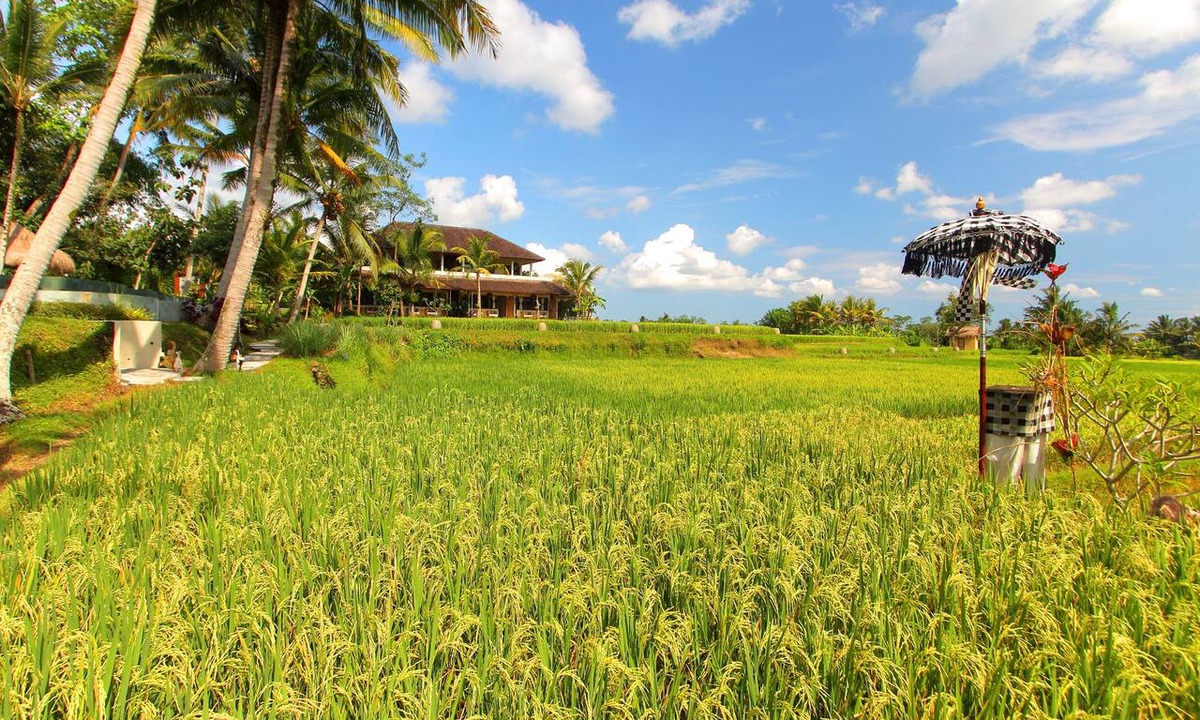 Kedewatan Hotel | MATHIS Retreat Ubud