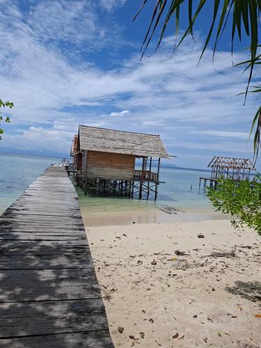 Raja Ampat House | Par fray homestay