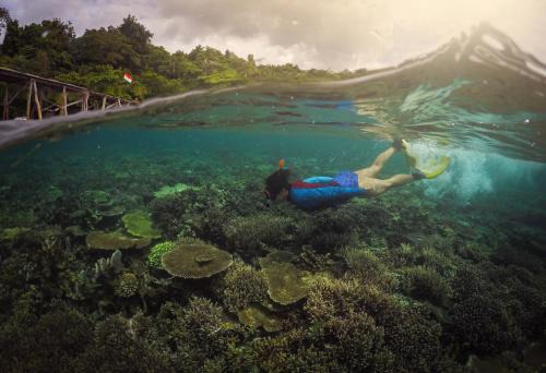 Saprokren Resort | Raja Ampat Dive Resort