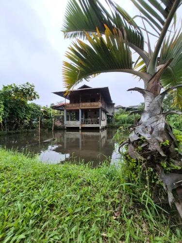 Tomohon House | Talaga Tomohon Home Stay and Fishing Pond