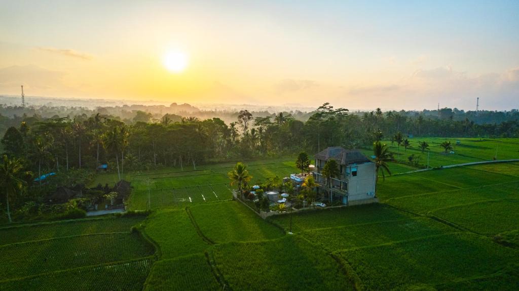 Taro House | The Nenggala Suite