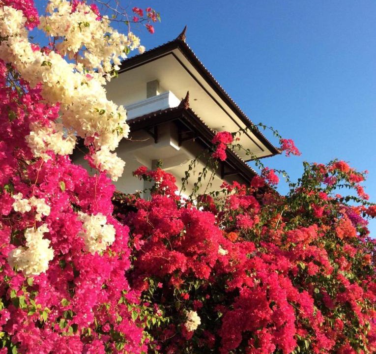 Pecatu House | Villa House of Dream