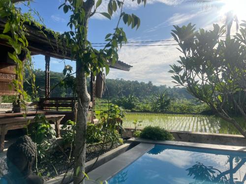 Bangunjiwo House | Villa Nextdoor Nature Yogyakarta