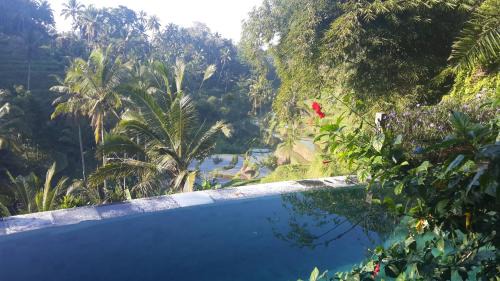 Tegallalang House | Villa Wedang