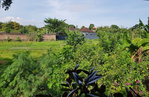 Banjar Semer Villa | 3 Bedrooms quiet and peaceful by a creek with own small pool