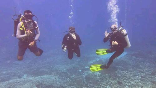 Arborek House | Arborek Homestay & Dive Center