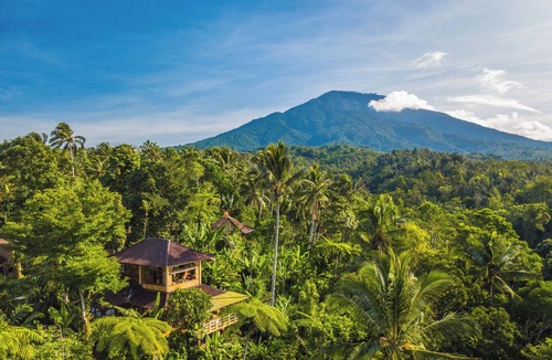 Selemadeg House | Charming Family Bungalow in the treetops at Sarinbuana Eco Lodge