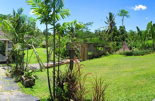 Kenderan House | Deluxe room with citrus trees