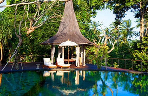 Kenderan House | Deluxe room with citrus trees
