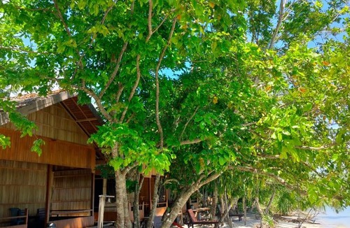 Mansuar Island House | Dorey Dive Homestay