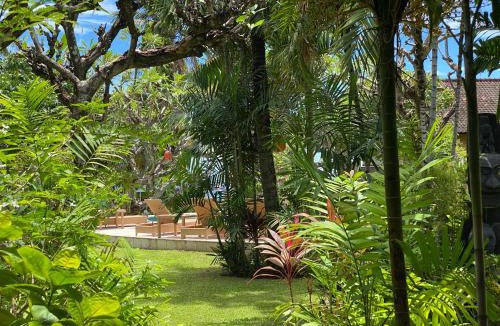 Amed Resort | Hidden Paradise Cottages