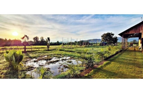 Kalisada Apartment | KAMAR MERAH. Comfortable 1BR Beachfront Apartment With AC, Pool & Kitchenette.