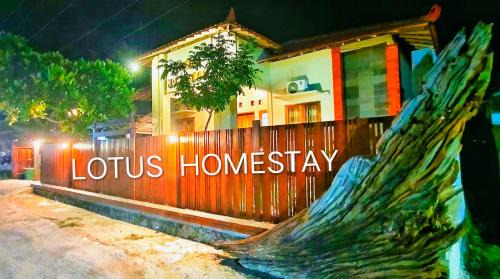 Karimunjava House | Lotus Homestay