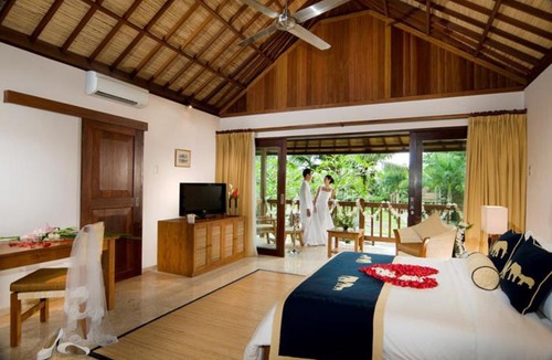 Taro Resort | Mason Elephant Lodge