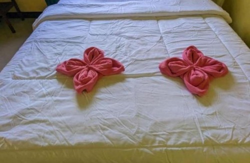 Moni Bed & Breakfast | Mushtinal Guest House Kelimutu