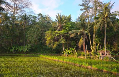 Sengkidu House | # Pondok Diana
