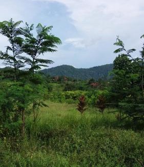Sidemen Cabin | Pondok Masa Depan