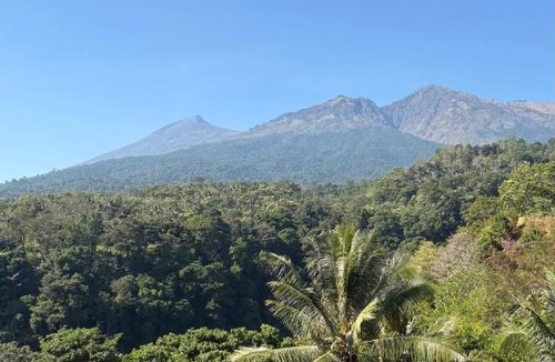 Bayan Hotel | Rinjani Houseboon