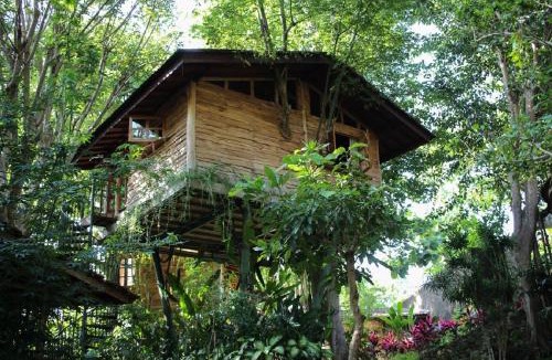 Ungasan Cabin | Roots Tree House