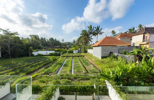Pejeng Kawan Apartment | Serenity Ubud by Betterplace