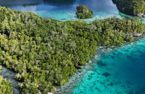 Arborek House | Sunrise Raja Ampat
