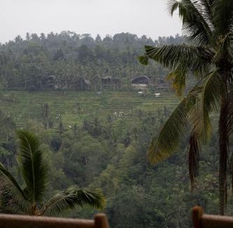 Melayang House | The Beauty Riptide