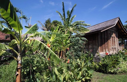 Temukus House | The Joglo by the Sea: antique teak house on the beach, stone bathtub, Lovina