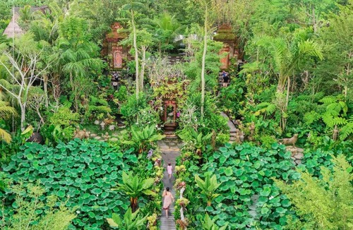 Mas Resort | Ubud Art Resort by Wedja