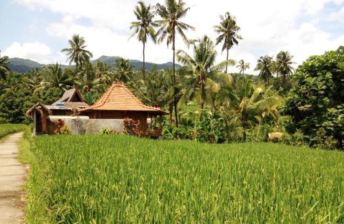 Sukasada Hotel | Uma Nirmala Aling-Aling