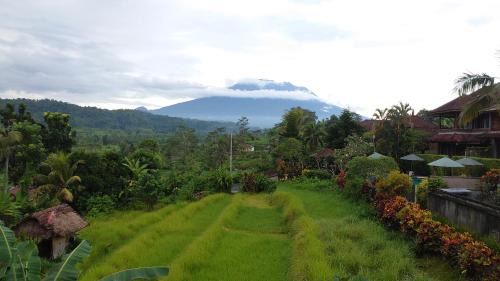 Sidemen Hotel | Unik Cottage