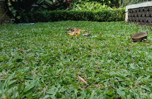 Bongkasa Pertiwi Villa | villa joglo