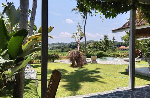 Bangunjiwo Villa | Villa With Stunning Paddy Field Views - Kasongan Yogyakarta