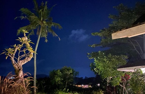Bangunjiwo Villa | Villa With Stunning Paddy Field Views - Kasongan Yogyakarta