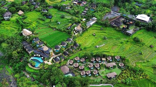 Sidemen Resort | Wapa di Ume Sidemen
