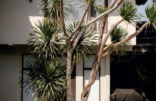 Berawa Resort | Wave House Boutique Surf Retreat - Adults Only