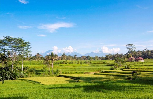 Kelusa Hotel | Your private excursion in Ubud, calm and peaceful atmosphere throughout the resort