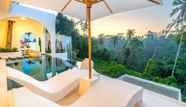 2 Infinity Pools Luxury Ubud 1br Villa Jungle Paradise in Ubud