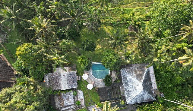 Aventus Resort Ubud