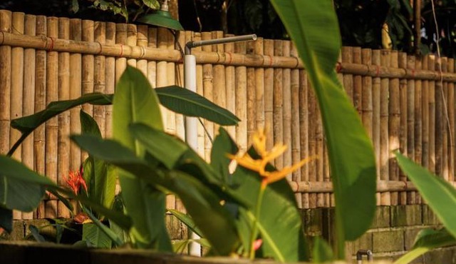 Banana surf and stay in Cijulang