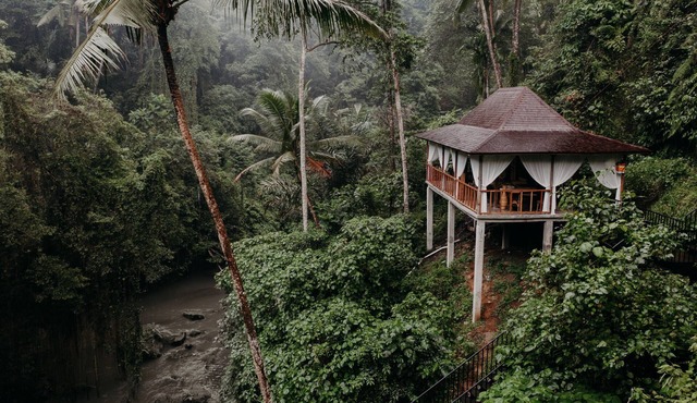 Bedulu Cliff Estate Ubud - Tree Top